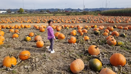 20191012_132240 JKJK0 ü   ¨Ö ø³                              È  ý    ° lº hÿÿÿÜÿÿÆÿÿø ¨ÿÿ  =ÿÿ.Þ 