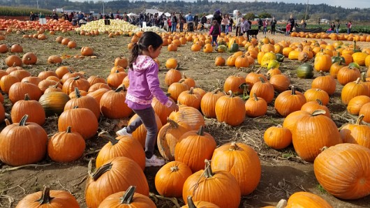 20191012_132503 JKJK0 ü   ¨Ö ø³      ]  ]                      ¦ ×Ãï    ¯© {º hÿÿøÜÿÿsÆÿÿ  ¨ÿÿ  +ÿÿ@Þ  