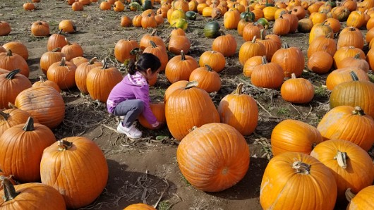 20191012_132506 JKJK0 ü   ¨Ö ø³      
  
                       ÄDÑ    ÊË x» ¢gÿÿæÜÿÿÿÅÿÿ± P¨ÿÿK  ÿÿ­ß Q3 qª  a  qª  qª  qª  qª  qª  qª  qª  qª  qª  qª...