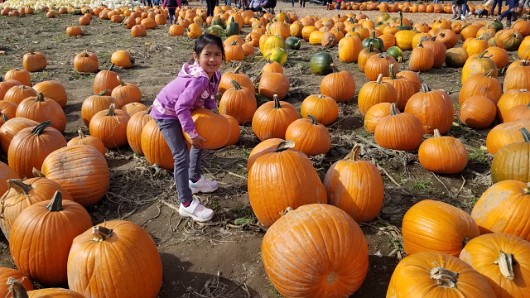 20191012_132507(0) JKJK0 ü   ¨Ö ø³      b  b                     ¥ ºÐ    ýÌ x» ¢gÿÿæÜÿÿÿÅÿÿ± P¨ÿÿK  ÿÿ­ß b   R   a  qª  qª  qª  qª  qª  qª  qª  qª  qª  qª...