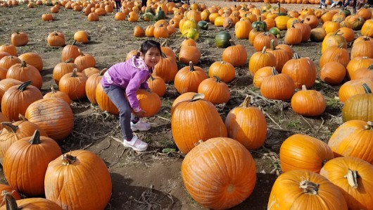 20191012_132507 JKJK0 ü   ¨Ö ø³      o  o                     ¤ «8Ð    Î x» ¢gÿÿæÜÿÿÿÅÿÿ± P¨ÿÿK  ÿÿ­ß a  a  qª  qª  qª  qª  qª  qª  qª  qª  qª  qª  qª...