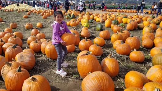 20191012_132508 JKJK0 ü   ¨Ö ø³      3  3                      ² ðöÒ      v   ç£m n * ÿ> v   ç£n n * ÿ> v   çãn                                                  ...