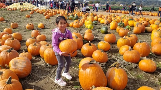 20191012_132510 JKJK0 ü   ¨Ö ø³                                Â 2Wä    9³ Íº ?hÿÿôÜÿÿOÆÿÿ> s¨ÿÿ~  Êÿÿ¸Þ p   Q3 Q3              ...