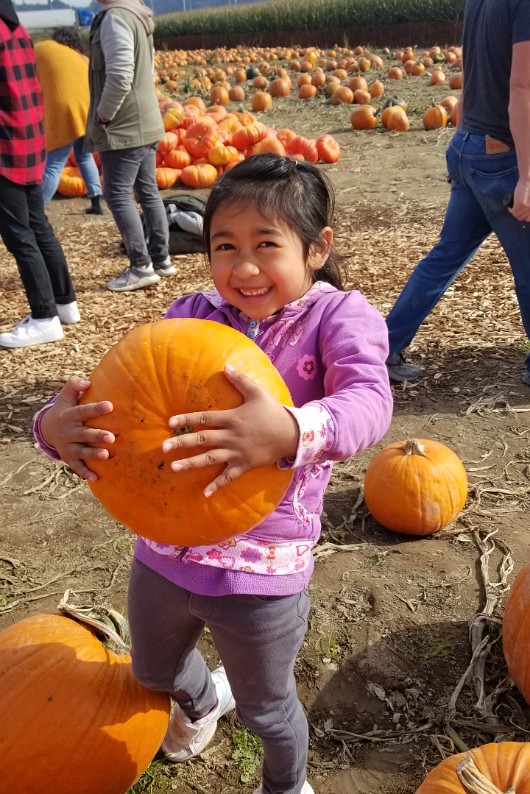 20191012_132532 JKJK0 ü   ¨Ö ø³      ã  ã                      ¤¦î    ³¬ º ~hÿÿùÜÿÿnÆÿÿ ¨ÿÿ  ÿÿZÞ 