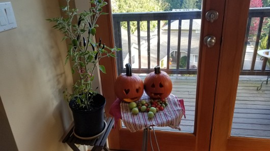 20191006_092015 JKJK0 ü   ¨Ö ø³     ì  ì                    ¶  Oú    ¯ y´ nÿÿnÝÿÿ6ÉÿÿÓ ö©ÿÿ;   $ÿÿ»Õ  ...