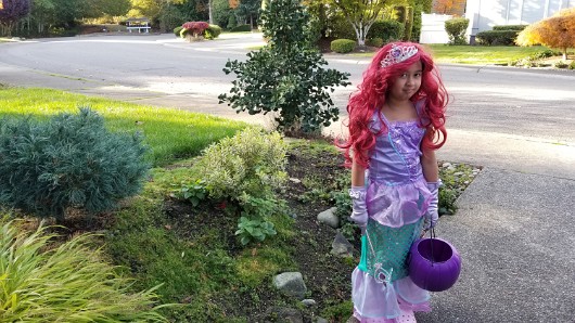 20201031_154550 JKJK0 çÿ  | âÝ °     ý  ý                    ¾ è ß!    / ©¹ FiÿÿÝÿÿÑÆÿÿp ¿¨ÿÿÇ  ÿÿ!Ý  