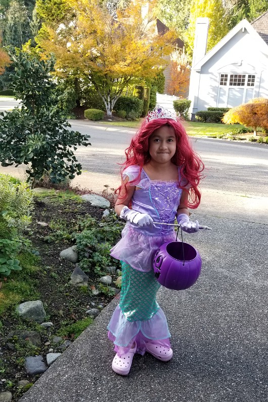 20201031_154616 JKJK0 çÿ  | âÝ °      p  p                     ø Ø     : Ê¹ (iÿÿÝÿÿÂÆÿÿ ±¨ÿÿÄ  ïÿÿMÝ 2w @