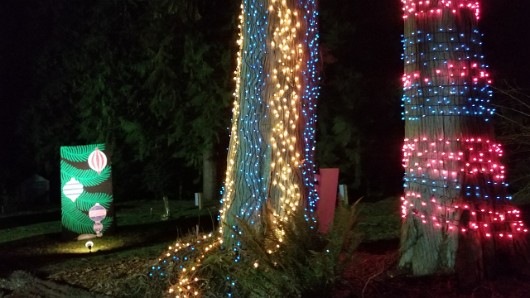 20201229_174424 JKJK0 ü   ¨Ö ø³     oþÿ oþÿ                    =  f    ë  ^ÿÿÞ   Ïÿÿ8e ÀËÿÿø  ÿÿÿê           Q3   Q3 qU qU   qf ...