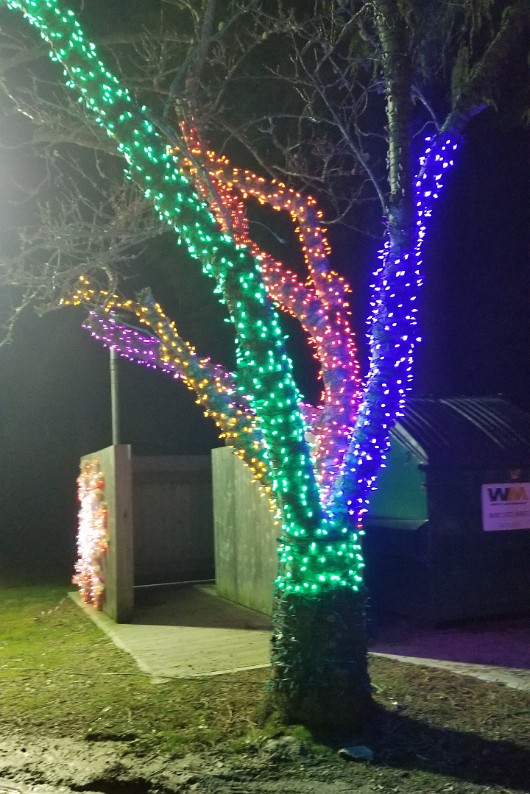 20201229_174607 JKJK0 ü   ¨Ö ø³     Ìÿÿ Ìÿÿ                     t öl     Ñ Ø]ÿÿT  (àÿÿ P ÇÏÿÿr   8ÿÿýº             ...