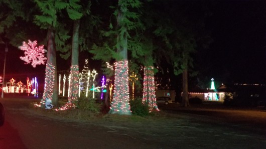 20201229_174714 JKJK0 ü   ¨Ö ø³     ×üÿ ×üÿ                  %  0 t t    Íx U ©dÿÿÿÿÿ=Ñÿÿ¼w ·ÿÿ  ÿÿTÏ A