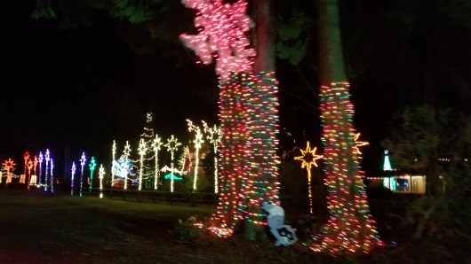 20201229_174738 JKJK0 ü   ¨Ö ø³     Êýÿ Êýÿ                    0 & a    ;` ¿ èeÿÿY  FÐÿÿáp Ù¾ÿÿ  §ÿÿ>é         1