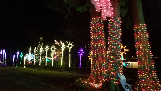 20201229_174743 JKJK0 ü   ¨Ö ø³     ýÿ ýÿ                    1 ® GO    xW  Óoÿÿ  OÐÿÿ¾t ðºÿÿE   ÿÿ-ä                         ...