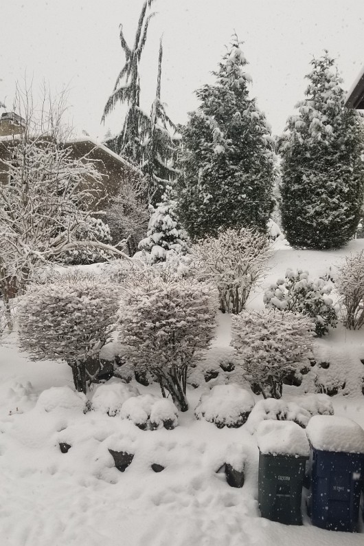 20210214_081049 JKJK0 ü   ¨Ö ø³                              È?    ya |» ÿbÿÿ
áÿÿ9ÑÿÿÛ ì«ÿÿP  8Gÿÿx¶ ! ! ! ! ! ! ! ! ! ! ! ! !...