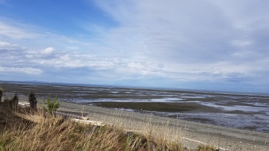 20210403_162529 JKJK0 çÿ  | âÝ °      5   5                      ù ßµ     .ª Jº µhÿÿÝÿÿÆÿÿÝ ¨ÿÿ¡  cÿÿüÝ         