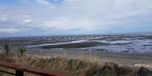 20210403_163447 JKJK0 ü   ¨Ö ø³                                ì éü    à« Gº ³hÿÿÝÿÿÆÿÿà ¨ÿÿ  fÿÿýÝ        