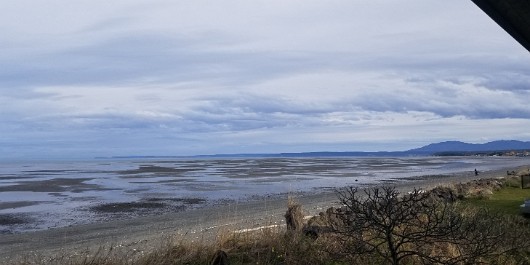 20210403_163452 JKJK0 ü   ¨Ö ø³      ¾  ¾                     ò  F    7¨ ,º ÑhÿÿÝÿÿÆÿÿÌ ¨ÿÿ¤  ÿÿØÝ 