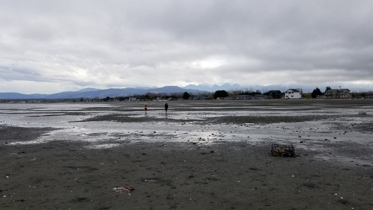 20210403_170833 JKJK0 çÿ  | âÝ °      !  !                     ï ÄR    ÷ Ó¸ jÿÿÝÿÿ0ÇÿÿÛ ò¨ÿÿ  ÿÿøÛ 