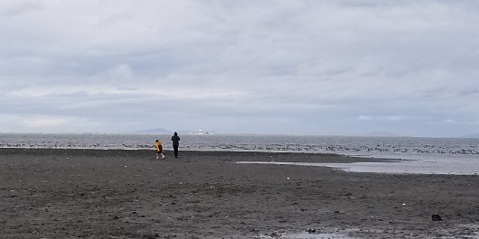 20210403_171423 JKJK0 ü   ¨Ö ø³      µ  µ                       +Ö    O £¹ KiÿÿÝÿÿØÆÿÿk ½¨ÿÿË  ÿÿÝ 