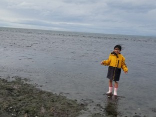 Year 7 Videos (Olympic Peninsula)