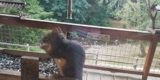 20210817_131316 JKJK0 ü   ¨Ö ø³      i  i                    ô º ýÔñ    Ø                                                                                 ...