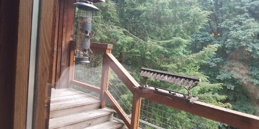 20210817_131713 JKJK0 ü   ¨Ö ø³     %  %                    Ò ° Ü¾    fÎ ³º XhÿÿõÜÿÿXÆÿÿ* ~¨ÿÿ  ëÿÿÞ `  `  !