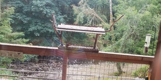 20210817_131846 JKJK0 ü   ¨Ö ø³                             º ]Ñ     Ý ôº hÿÿóÜÿÿ8ÆÿÿU s¨ÿÿr  ÿÿõÞ a Q3 1