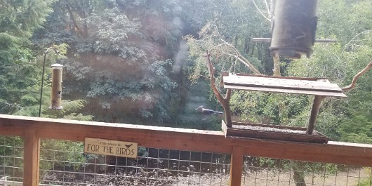 20210817_135114 JKJK0 ü   ¨Ö ø³      ä  ä                     ¾ k*    R¶ ú¹ ýhÿÿ...