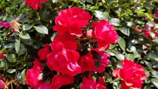 20210817_141206 JKJK0 çÿ  | âÝ °      ¬  ¬                       p¹    Þ 5´ Mnÿÿ~ÝÿÿPÉÿÿ« ªÿÿL  S$ÿÿaÕ 2w 2w a    ...