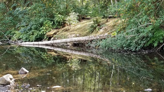 20210817_141329 JKJK0 çÿ  | âÝ °      q  q                    ø  ¯Ýö    ©Û \» ¸gÿÿìÜÿÿ...