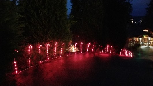 20211210_165524 JKJK0 çÿ  | âÝ °     èúÿ èúÿ                       ñE    2ù ñÃ PÿÿsëÿÿiÜÿÿTf A½ÿÿ 