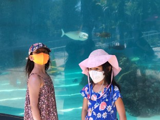 Long Beach Aquarium