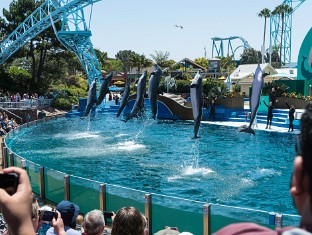 Sea World