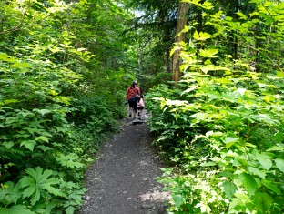 Year 9 (Twins Falls)