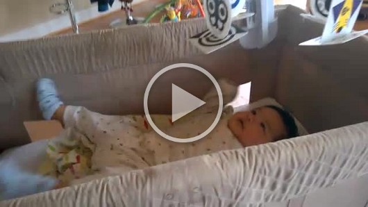 Video6