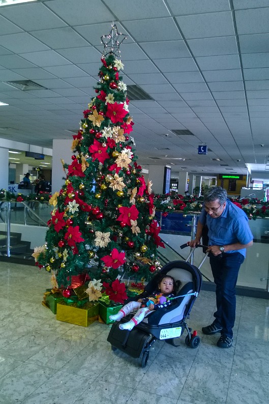 WP_20141211_008