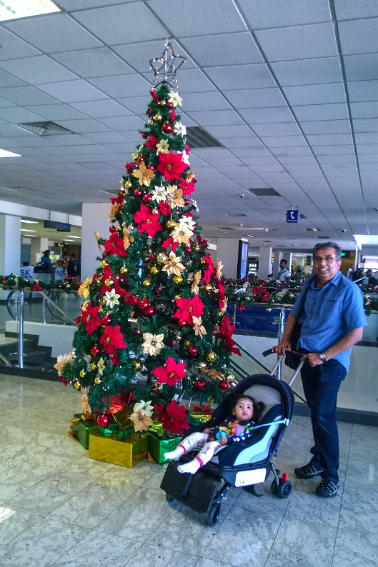 WP_20141211_009