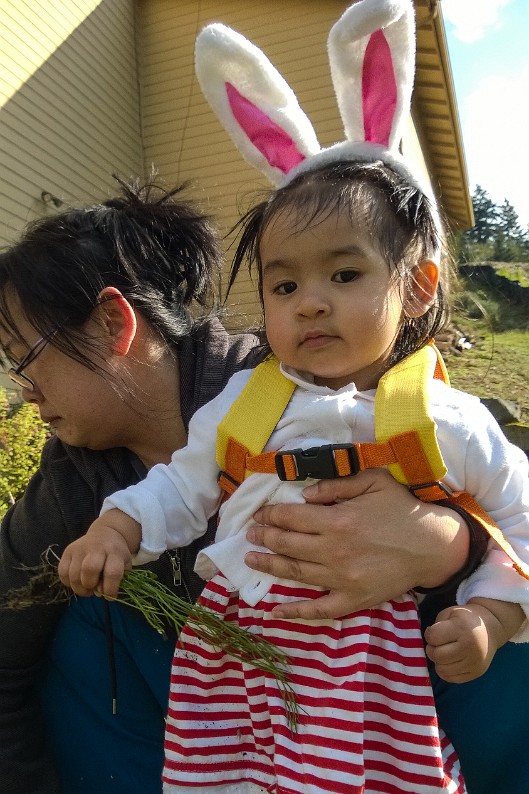WP_20150402_005