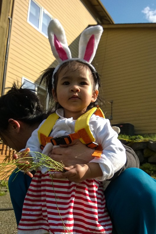 WP_20150402_006