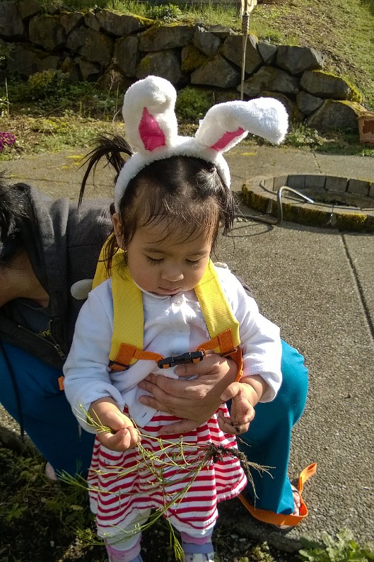 WP_20150402_007