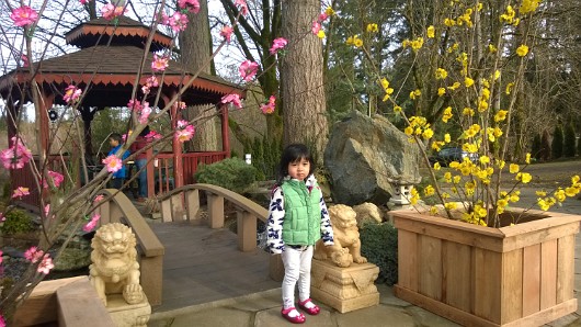 WP_20160207_004