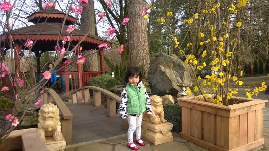 WP_20160207_005