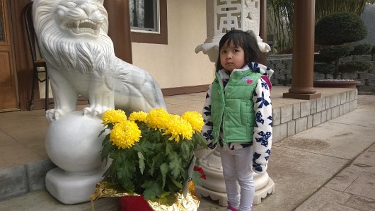 WP_20160207_007