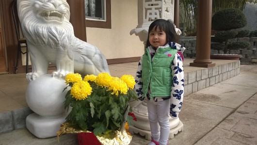WP_20160207_008