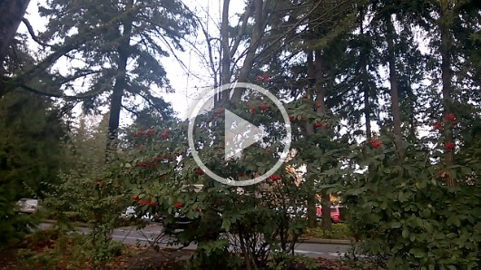 WP_20161114_001