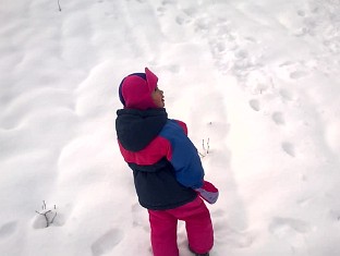 Month 38 Videos