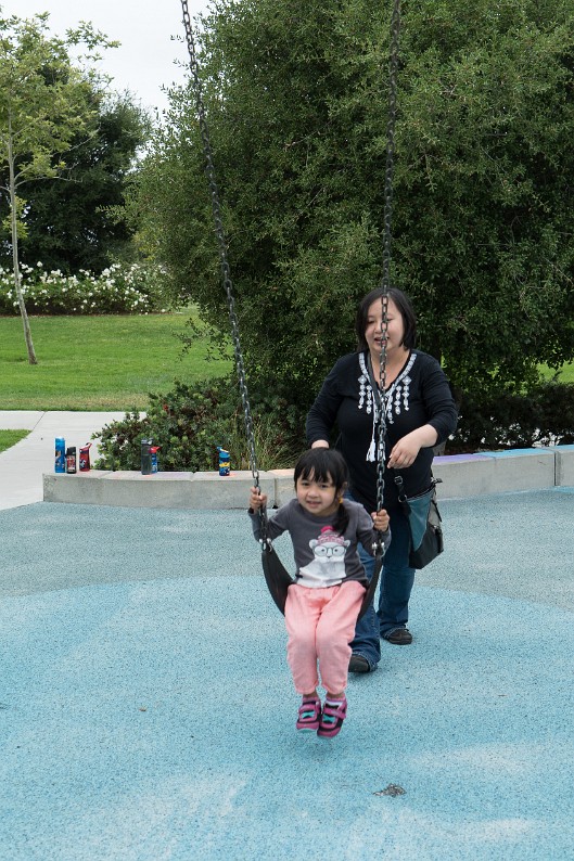 DSC03891 c