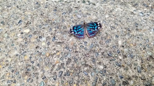 20180811_102223