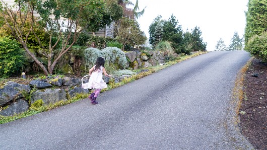 DSC08102