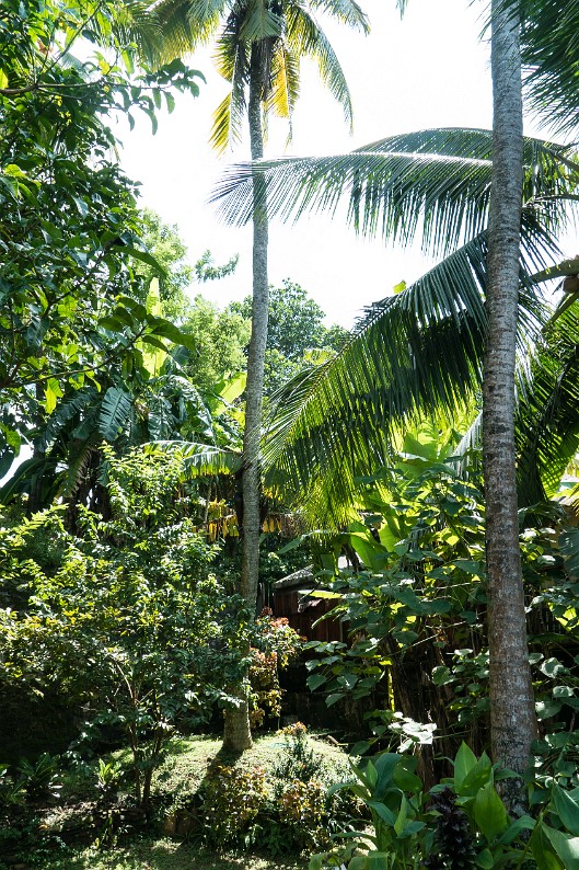 DSC09366