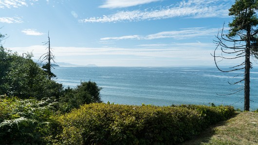 DSC00515